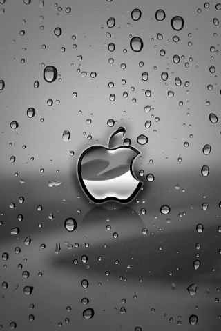 iPhoneが雨でびしょ濡れになったと思ったら！